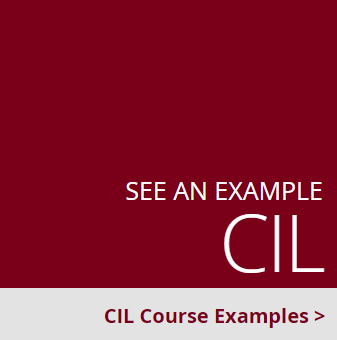 See an example CLI